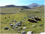 Rifugio Pederü - Sasso delle Dieci / Zehnerspitze